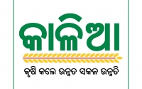 କାଳିଆ’-ଫାଇଲ୍‌-ଦସ୍ତଖତ-କରି-କାମ-ଆରମ୍ଭ-କଲେ-ନବୀନ-୩୪-ଲକ୍ଷରୁ-ଅଧିକ-ଚାଷୀଙ୍କ-ପାଖକୁ-ରବି-ଋତୁ-ପାଇଁ-୬୯୩-କୋଟି-୯୪ଲକ୍ଷ-ଟଙ୍କାର-କାଳିଆ-ଯୋଜନାରେ-ଚାଷୀଙ୍କ-ଆକାଉଣ୍ଟକୁ-ପଠାଗଲା-।